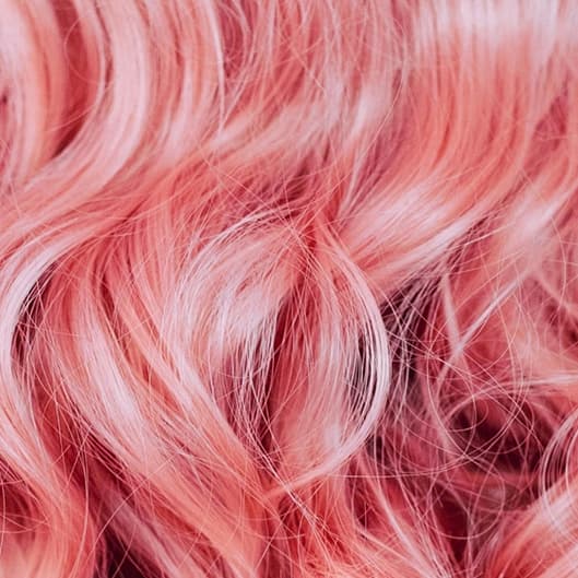 Blowout at Suite 101 in Wood Ridge, NJ